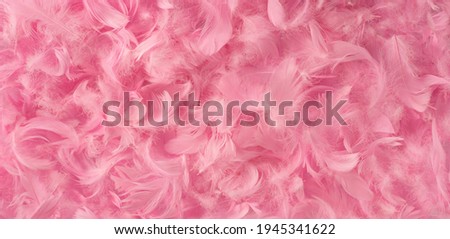 Pink feather background. Fluffy cherry blossom pink feather fashion design horizontal border Royalty-Free Stock Photo #1945341622