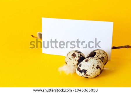 Visiting card with quail eggs, feather and pussy willow branch on yellow paper background with copy space. Empty text place. Mockup design of Easter holiday decoration. Healthy food. Business card.