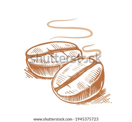 Coffee bean sketch. Hand drawing vintage clip art isolated on white background. Design for products and goods.

