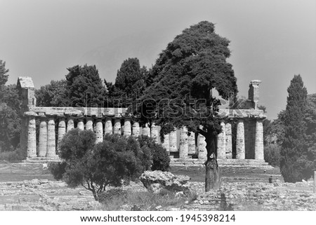 Greek temple of Athena in Paestum surrounded by Mediterranean pines, black and white photo in ancient style.