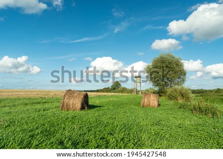 Hay bales on a green meadow and blue sky