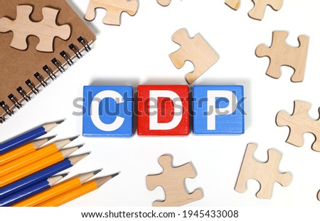 The word CDP is present. It stands for Customer Data Platform. High quality photo
