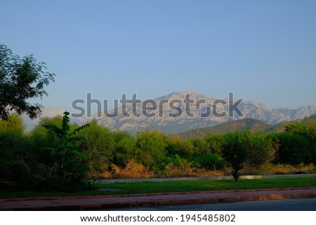 Turkey, Antalya, Kemer. Palm trees, buildings and mountains