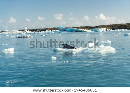 Jokulsarlon ice lagoon in Iceland.