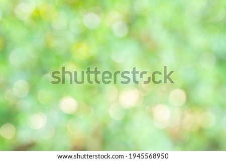 Landscape green and white bokeh with the blurred background for backdrop, free space, blank background concept.