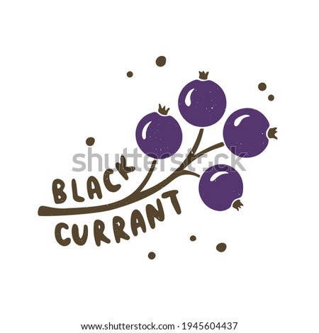 Colorful black currant illustration with hand drawn lettering isolated on transparent background. Ripe berries on a branch Royalty-Free Stock Photo #1945604437