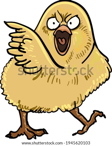 chick or chicken angry. yellow baby chic cartoon.