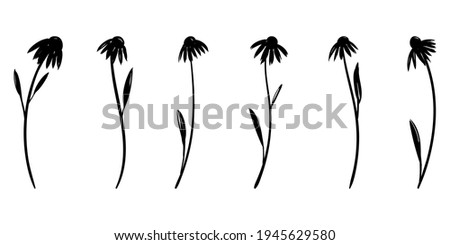 Set of silhouettes of flowers. Vector silhouettes of daisies 