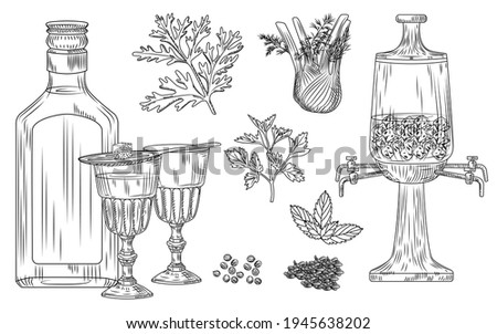 Set of absinthe. Cocktail glass and bottle, spoon, sugar, fountain, wormwood, fennel, parsley, dill, mint, coriander anise ice Engraving vintage style vector illustration Royalty-Free Stock Photo #1945638202