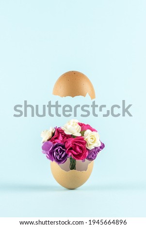 Spring flowers in cracked eggshell against pastel blue background. Easter minimal concept. Creative Happy Easter or spring layout.