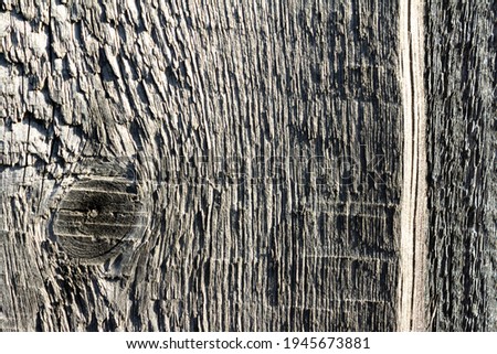 Surface of old wood plank