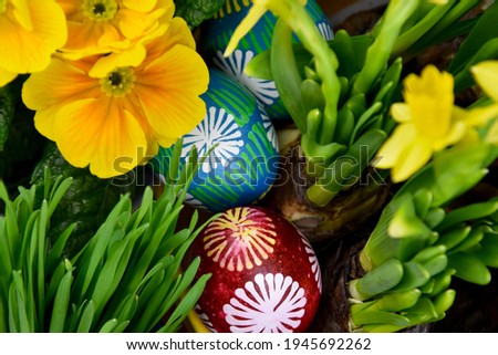 Beautiful hand painted easter eggs with spring flowers close-up stock images. Easter decoration with colored eggs and fresh flowers stock photo. Traditional easter eggs images