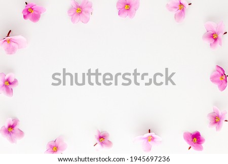 Spring or summer flower composition with edible  violets on white background. Flat lay, copy space. Healthy life and flowers concept.
