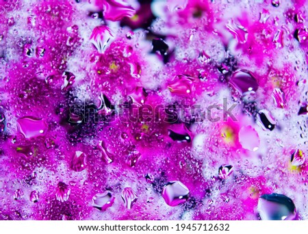 abstract colorful background, abstract colorful background with bubbles, water drops on a glass, colorful flower background with water drops, hd colorful abstract wallpaper
