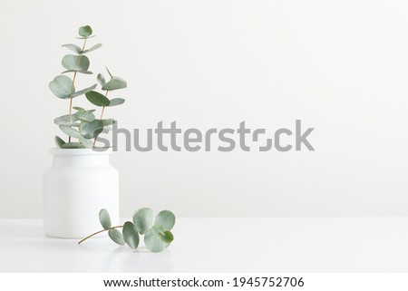 Green eucalyptus leaves in vase on white table. Front view. Place for text, copy space, mockup Royalty-Free Stock Photo #1945752706