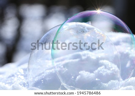 frozen bubble in the winter sun 