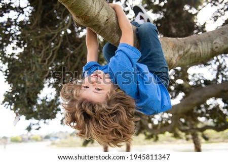 Kids climbing trees, hanging upside down on a tree in a park. Child protection Royalty-Free Stock Photo #1945811347