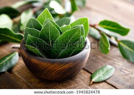 Green bay leaves on wooden background. Laurel leaf. Bay laurel leaves Royalty-Free Stock Photo #1945824478