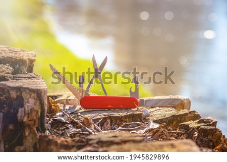 Close up of multifunction knife put on wood tree.