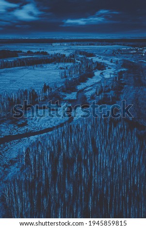 Night forest landscape from above. Blue neon night light. Blue natural background, moonlight. 