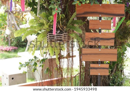 Set of five blank brown wooden rectangular signs in a tropical green summer sunlit garden with ferns and hanging baskets, no people, southeast Asia