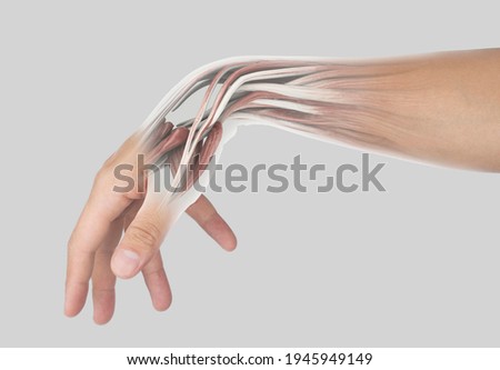 wrist muscle pain gray background wrist pain