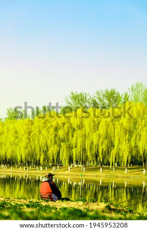 Beijing spring river flower and tree