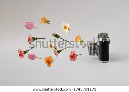 Retro camera with colorful spring flowers against white background. Creative concept. Minimal nature concept.
