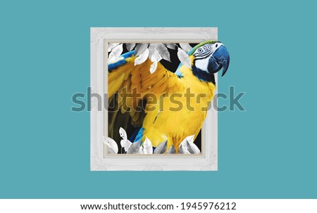 Digital collage modern art, Yellow Macaw parrot, with picture frame
