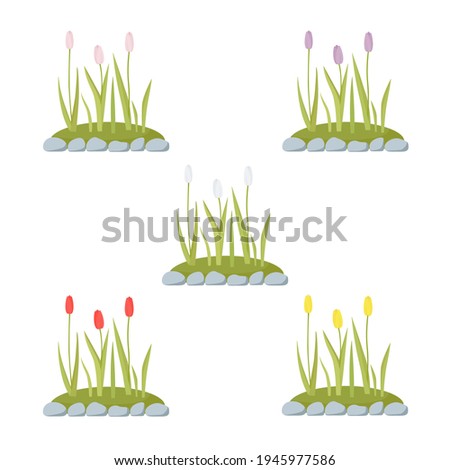 Flower beds with tulips. A set of flower beds with flowers of different colors. Vector illustration.