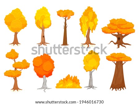 Cartoon colorful autumn trees vector illustrations set. Collection of yellow and orange fall trees and fallen leaves, bush isolated on white background. Autumn landscape, forest, park, season concept