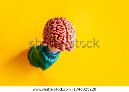 female hand hold human brain on yellow background. Royalty-Free Stock Photo #1946023228