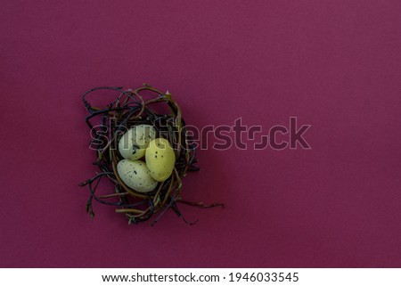colorful easter eggs in nest against purple background
