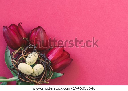colorful easter eggs in nest and red tulip flower against purple background
