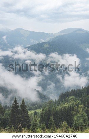 Mountains in the fog and clouds valley with forest and fog view from up. Scenic view of mountain forests covering by fog