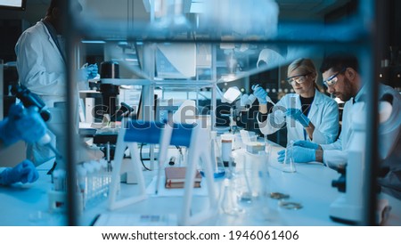 Female and Male Medical Research Scientists Have a Conversation While Conducting Experiments in Test Tubes with Liquid Samples with and in Beakers with Solid Speciments. Modern Science Laboratory. Royalty-Free Stock Photo #1946061406