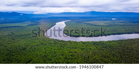 Kalimantan rain forest from above Royalty-Free Stock Photo #1946100847
