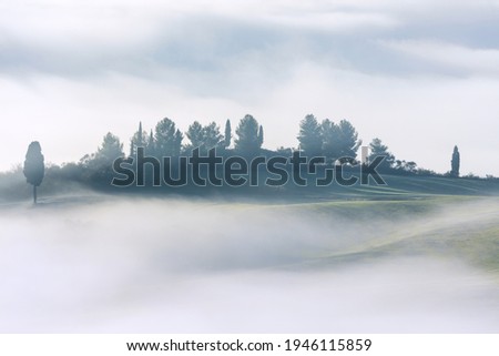 Minimalistic foggy mystical landscape - trees and hills in fog, light and dark. Tuscany, Italy