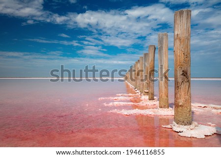 Miracle of nature -  Real pink color of salt lake and deep blue sky,  minimalistic natural landscape, Ukraine travel background Royalty-Free Stock Photo #1946116855