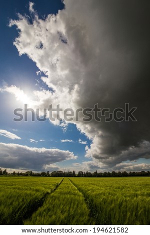 The picture shows a storm tbrewing over a field.