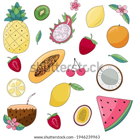 Set with tropical fruits. Exotic fruits and berries. Mango, pineapple, papaya, durian, kiwi
