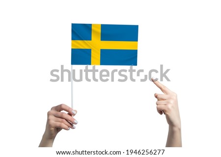 A beautiful female hand holds a Sweden flag to which she shows the finger of her other hand, isolated on white background.