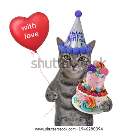 A gray cat in a party hat with a holiday cake and a red balloon celebrates a birthday. White background. Isolated.