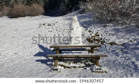 the sad snowman built on the wooden table in the