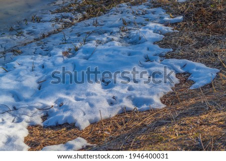 Snow lies on the dry and withered grass in the recreation park
