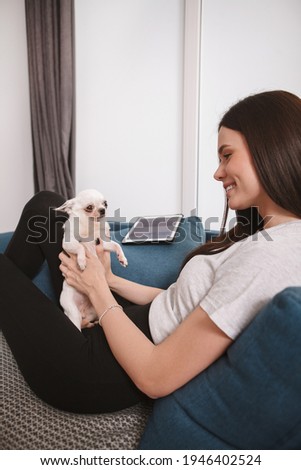 Happy woman laughing, playing with her chihuahua dog on the sofa