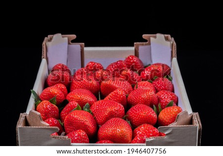 Cartoon box of strawberries on black background .