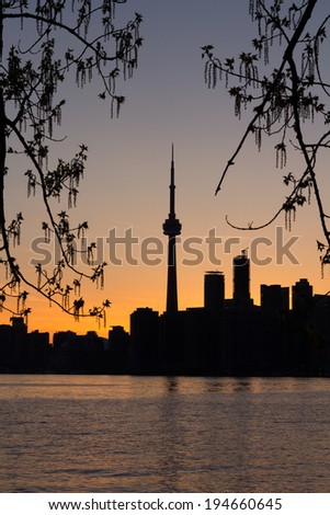 Toronto Sunset Silhouette framed with tree follage