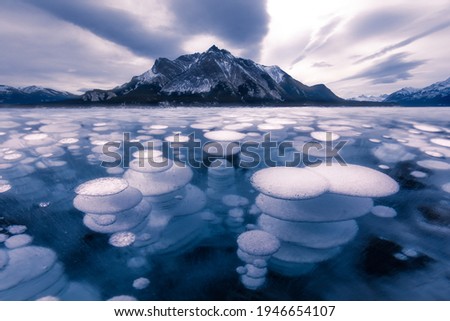 Abraham lake winter ice formation bubbles