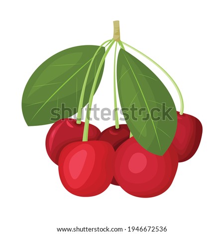 A branch of a ripe red cherry, isolated on a white background. Beautiful juicy berries. Kitchen utensils design element. Vector illustration